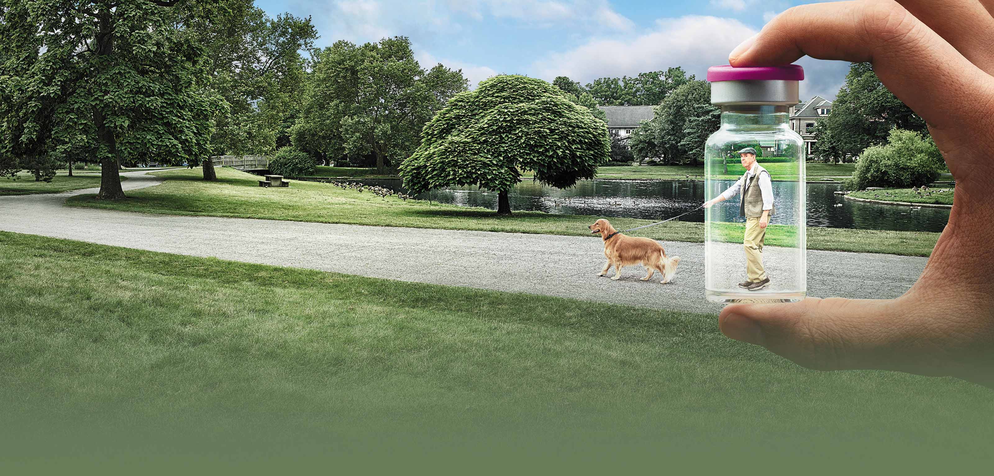 Cutaneous squamous cell carcinoma ad campaign for Libtayo. Image of a man walking a dog in a park